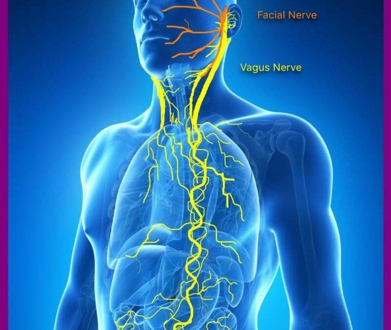 Many Chronic Diseases Linked To Altered Function Of This Single Nerve