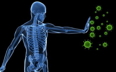 The Negative Impact of Stress On Your Immune System–How You Can Make A Positive Influence