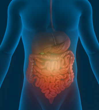 How Does Chiropractic Help Irritable Bowel Syndrome Sufferers?