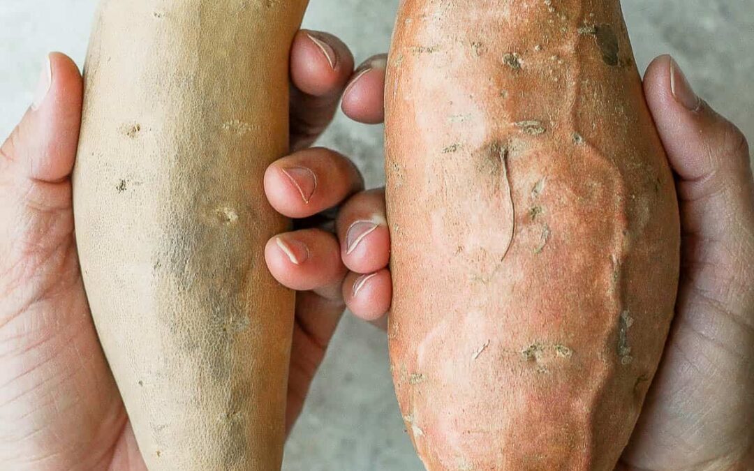 yam or sweet potato